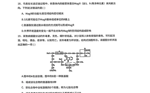 广东省佛山市南海区第一中学2025-2026学年高一上学期10月月考生物试题(图片版含答案)_2025年11月高一试卷_251112广东省佛山市南海区第一中学2025-2026学年高一上学期阶段测试一