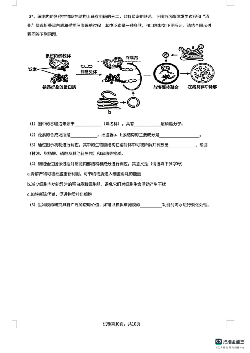 广东省佛山市南海区第一中学2025-2026学年高一上学期10月月考生物试题(图片版含答案)_2025年11月高一试卷_251112广东省佛山市南海区第一中学2025-2026学年高一上学期阶段测试一