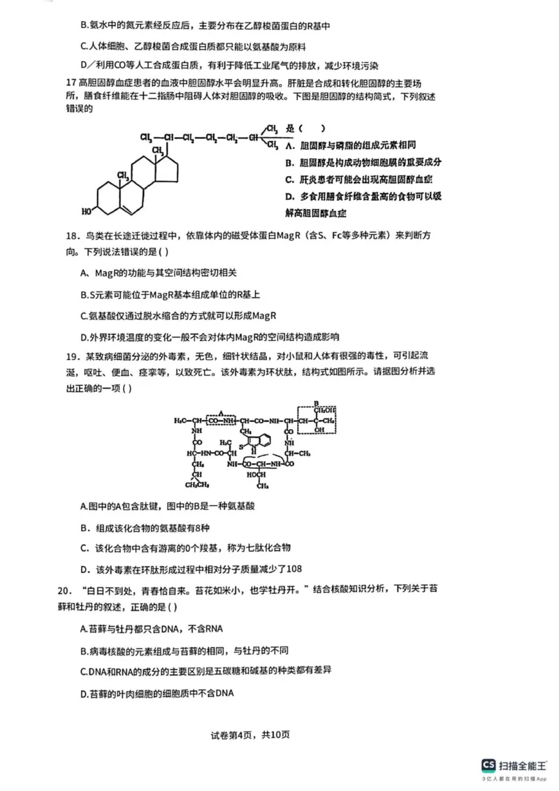 广东省佛山市南海区第一中学2025-2026学年高一上学期10月月考生物试题(图片版含答案)_2025年11月高一试卷_251112广东省佛山市南海区第一中学2025-2026学年高一上学期阶段测试一