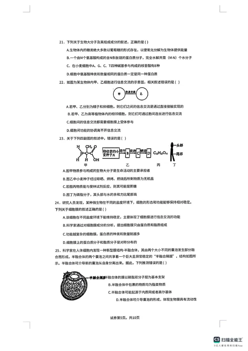 广东省佛山市南海区第一中学2025-2026学年高一上学期10月月考生物试题(图片版含答案)_2025年11月高一试卷_251112广东省佛山市南海区第一中学2025-2026学年高一上学期阶段测试一