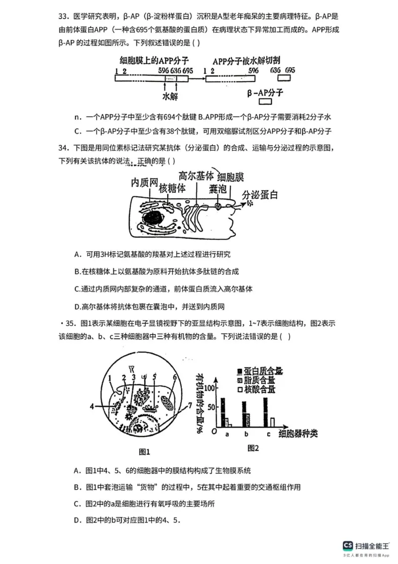 广东省佛山市南海区第一中学2025-2026学年高一上学期10月月考生物试题(图片版含答案)_2025年11月高一试卷_251112广东省佛山市南海区第一中学2025-2026学年高一上学期阶段测试一