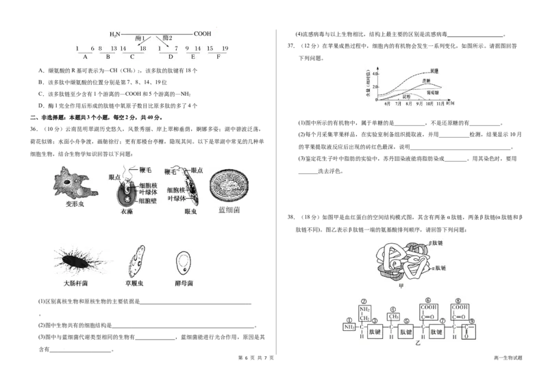 山东省聊城市某校2025-2026学年高一上学期第一次月考生物试题_2025年10月高一试卷_251005山东省聊城市某校2025-2026学年高一上学期第一次月考（全）