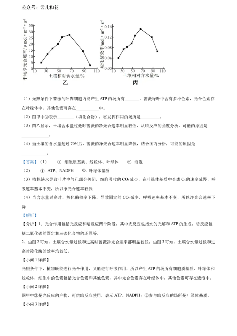 广西壮族自治区贺州市2023-2024学年高一上学期期末考试生物试题Word版含解析_2024年12月试卷_1223广西壮族自治区贺州市2023-2024学年高一上学期期末考试