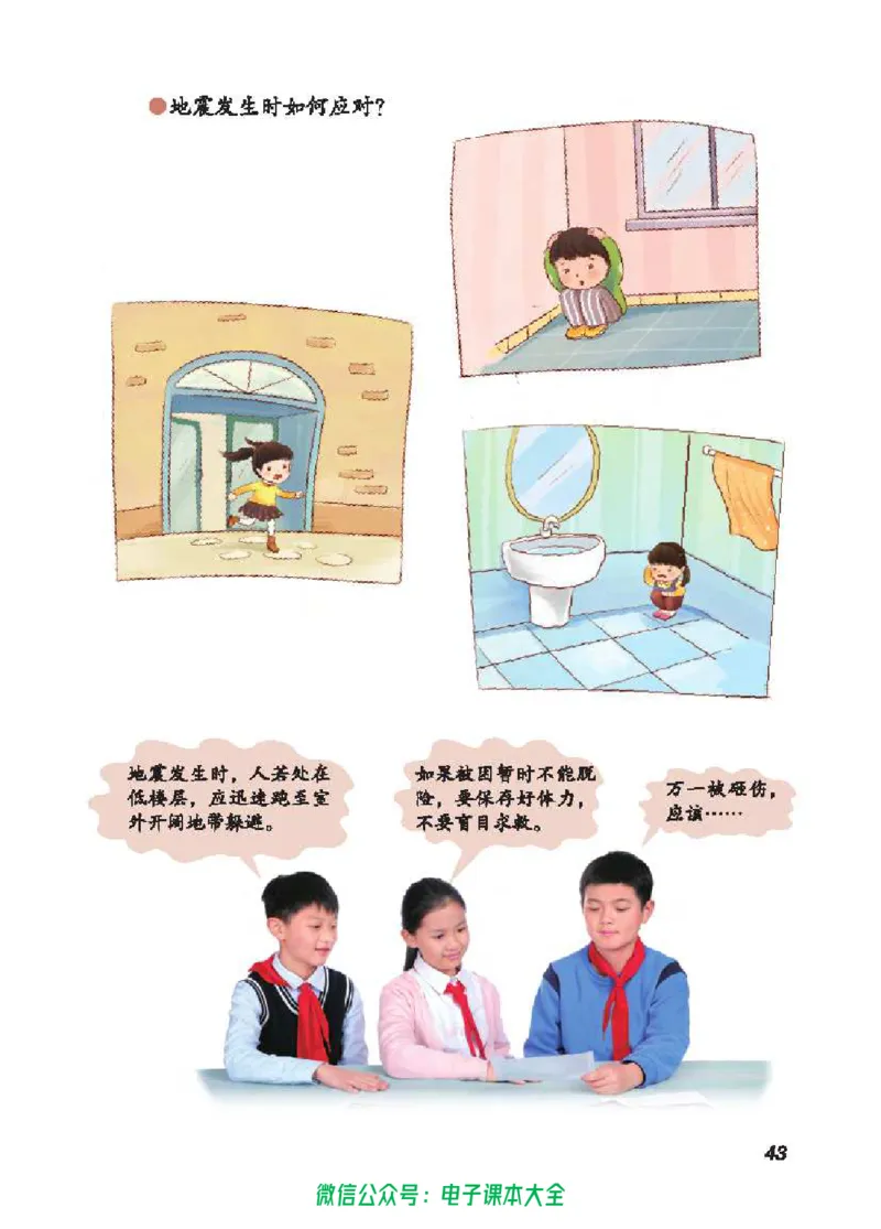 五制四下教材_电子课本_小学电子课本_05科学_青岛版（63、54版）_小学科学青岛五四制1-5下册