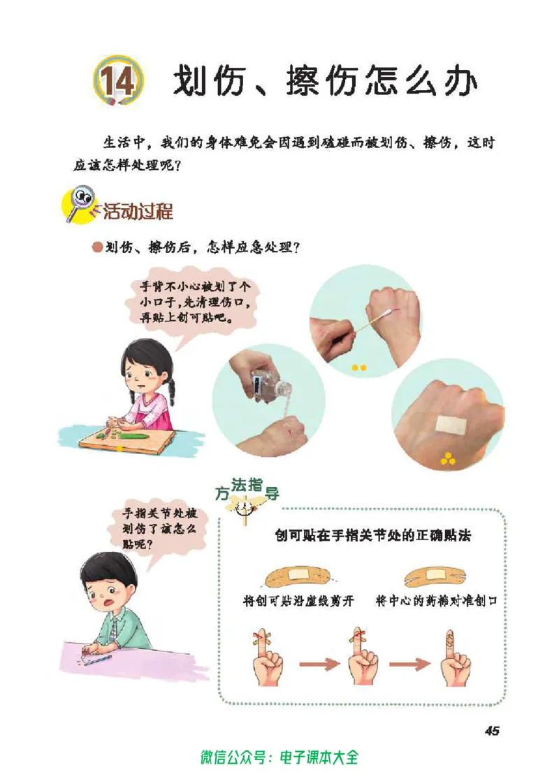 五制四下教材_电子课本_小学电子课本_05科学_青岛版（63、54版）_小学科学青岛五四制1-5下册