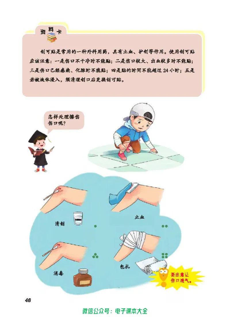 五制四下教材_电子课本_小学电子课本_05科学_青岛版（63、54版）_小学科学青岛五四制1-5下册