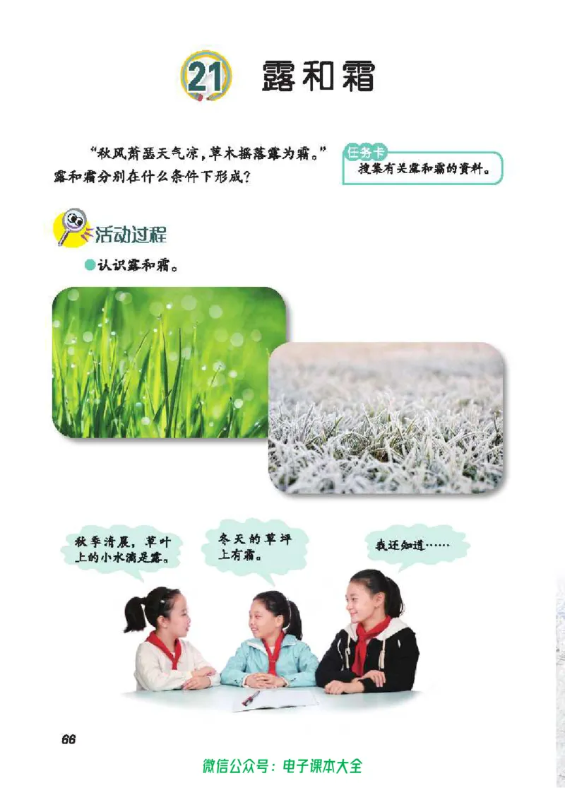 五制四下教材_电子课本_小学电子课本_05科学_青岛版（63、54版）_小学科学青岛五四制1-5下册
