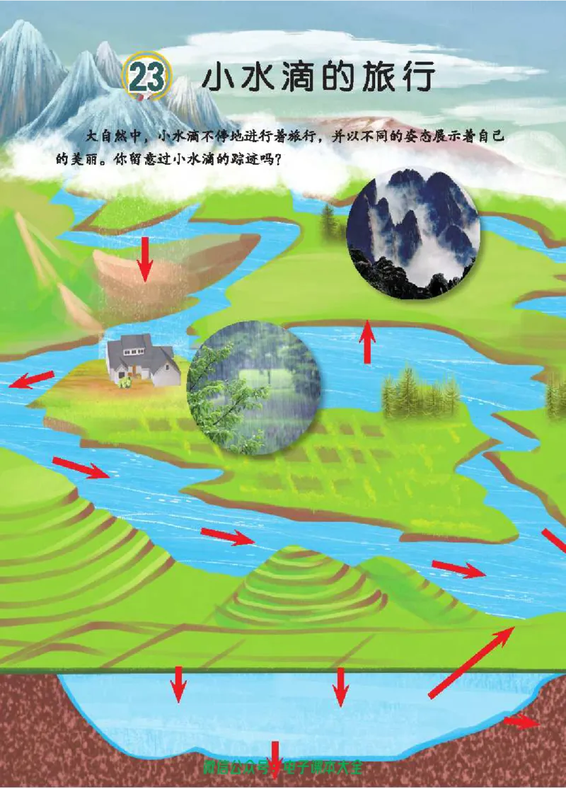 五制四下教材_电子课本_小学电子课本_05科学_青岛版（63、54版）_小学科学青岛五四制1-5下册