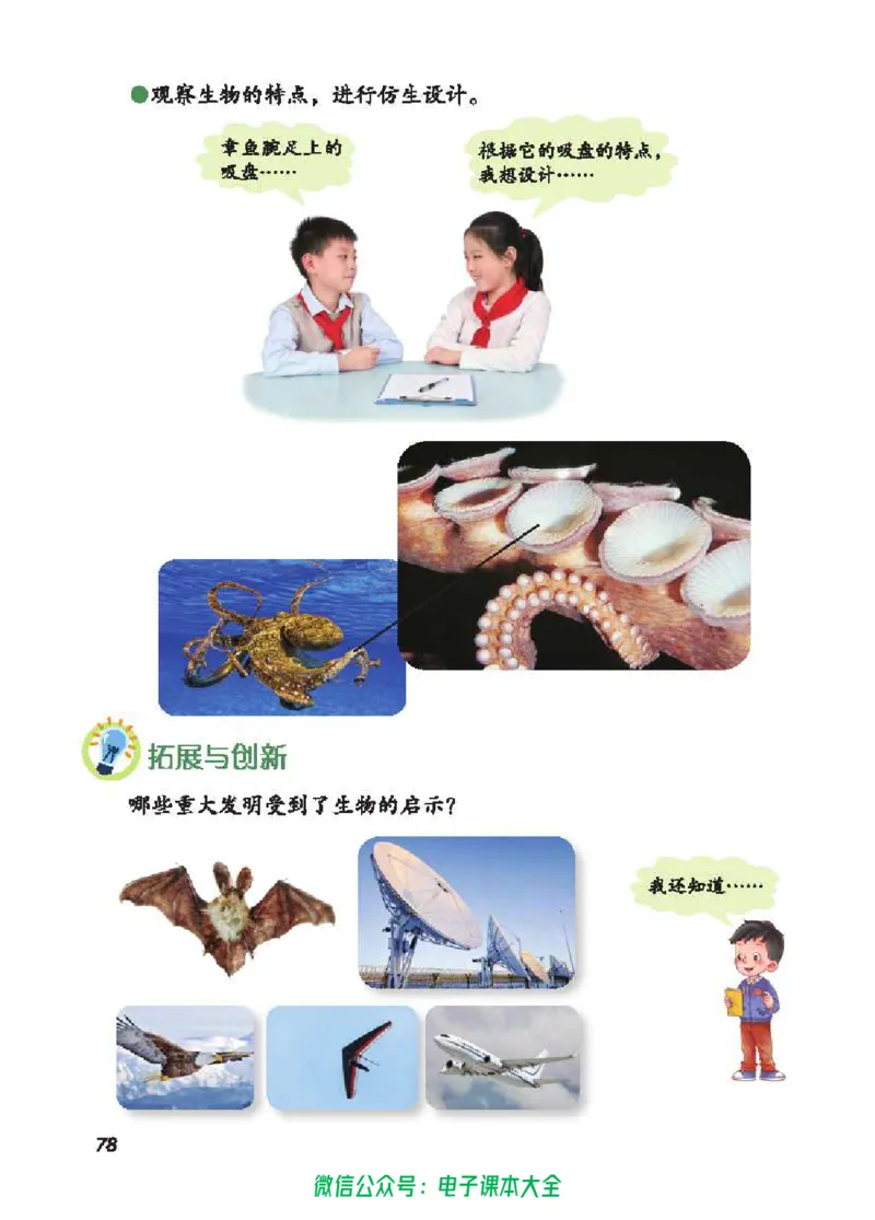 五制四下教材_电子课本_小学电子课本_05科学_青岛版（63、54版）_小学科学青岛五四制1-5下册