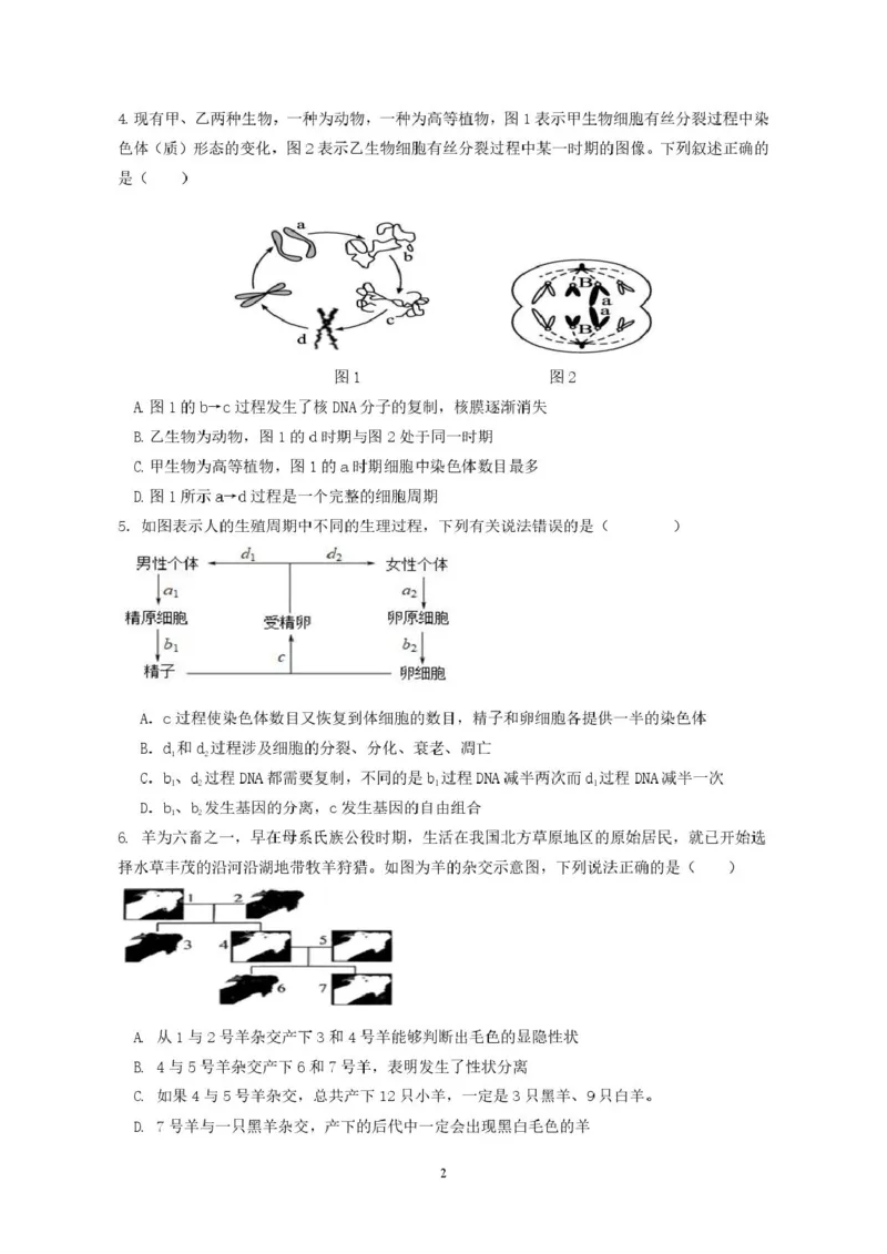 广东省香山中学、高要一中、广信中学2024-2025学年高一下学期第一次教学质量检测生物试题_2025年05月试卷