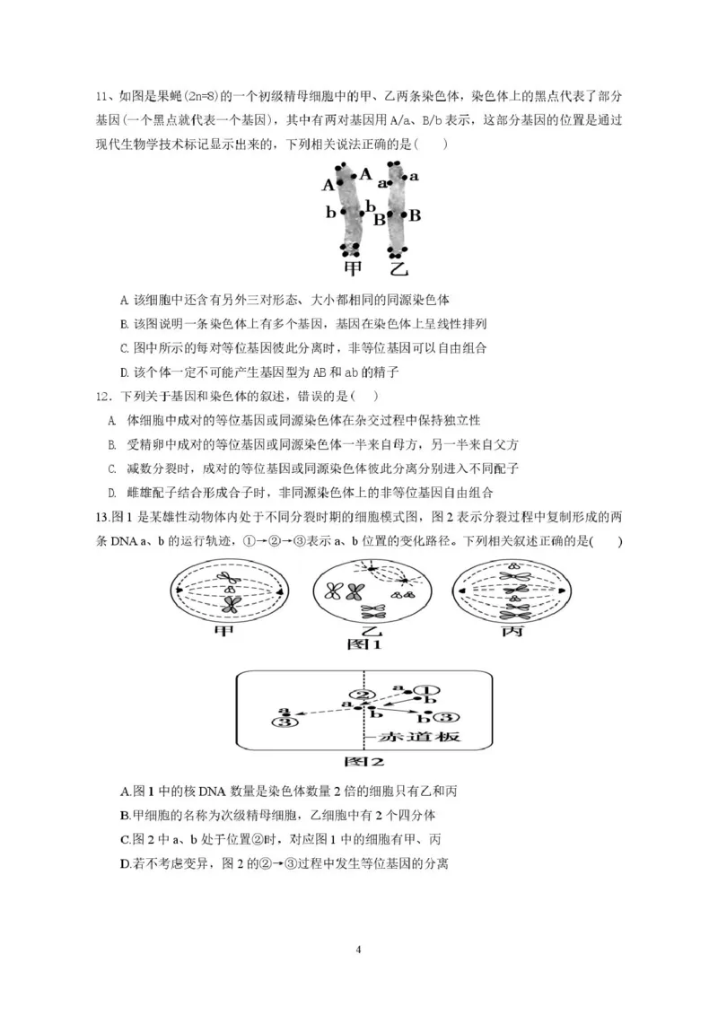 广东省香山中学、高要一中、广信中学2024-2025学年高一下学期第一次教学质量检测生物试题_2025年05月试卷