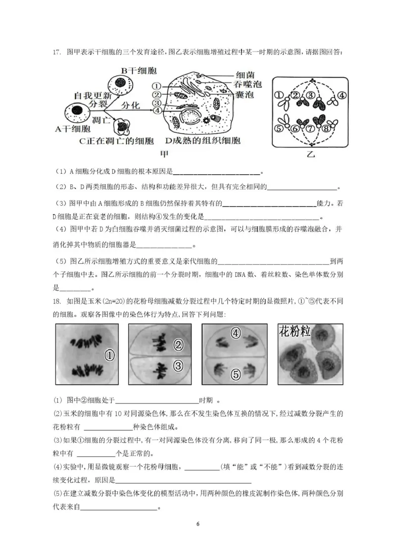 广东省香山中学、高要一中、广信中学2024-2025学年高一下学期第一次教学质量检测生物试题_2025年05月试卷