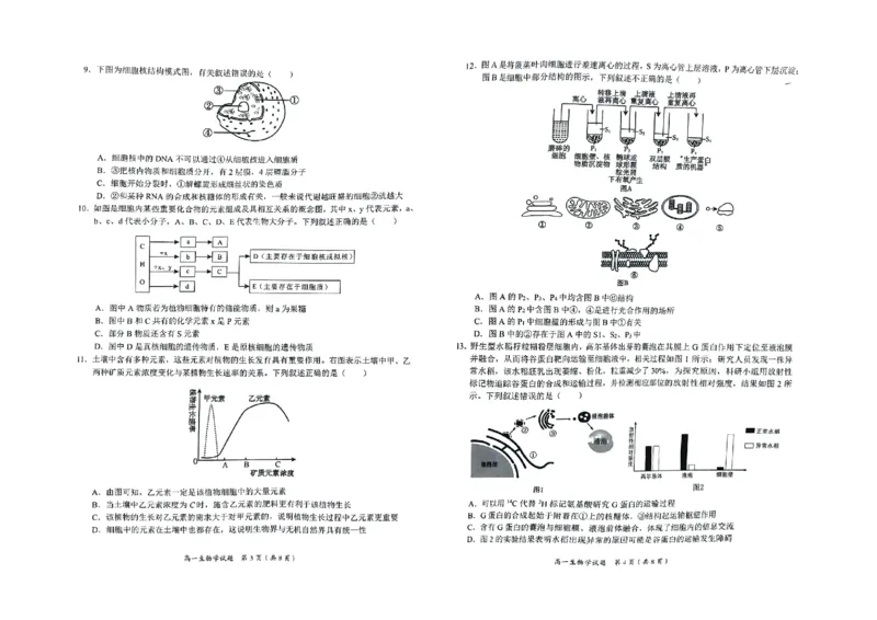 广西示高2025年秋季期中高一联考生物试卷_2025年11月高一试卷_251127广西示范性高中2025-2026学年高一上学期期中联合调研测试（全）