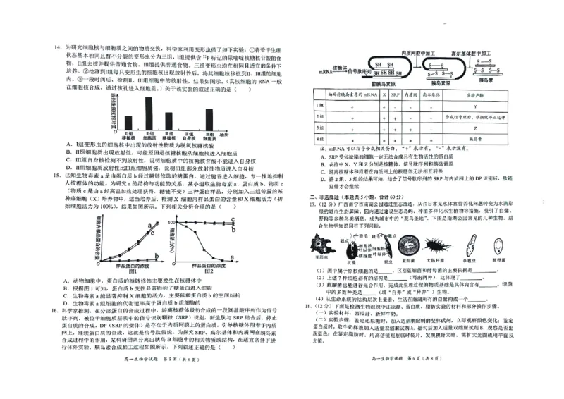 广西示高2025年秋季期中高一联考生物试卷_2025年11月高一试卷_251127广西示范性高中2025-2026学年高一上学期期中联合调研测试（全）