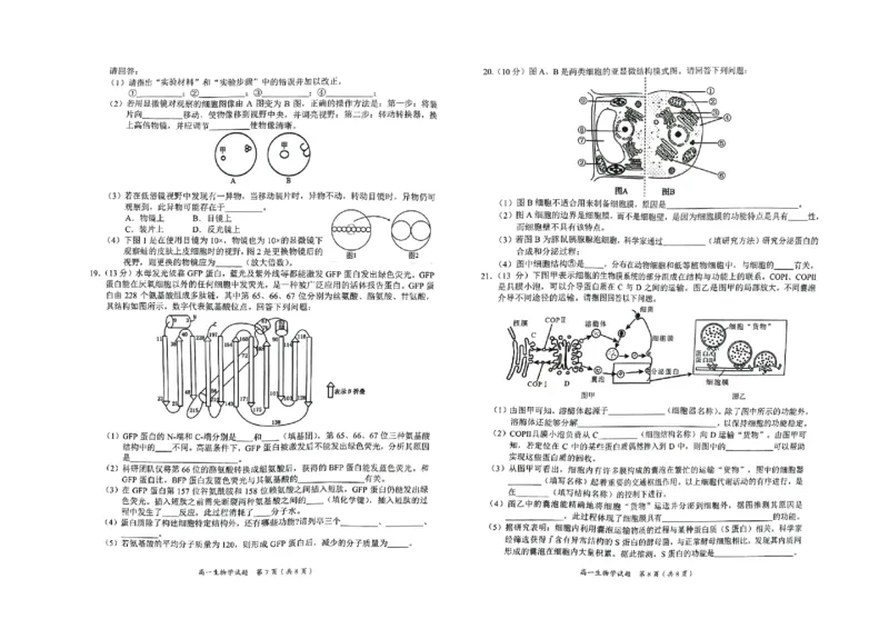 广西示高2025年秋季期中高一联考生物试卷_2025年11月高一试卷_251127广西示范性高中2025-2026学年高一上学期期中联合调研测试（全）