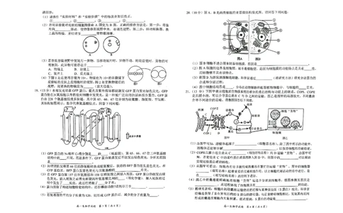 广西示高2025年秋季期中高一联考生物试卷_2025年11月高一试卷_251127广西示范性高中2025-2026学年高一上学期期中联合调研测试（全）