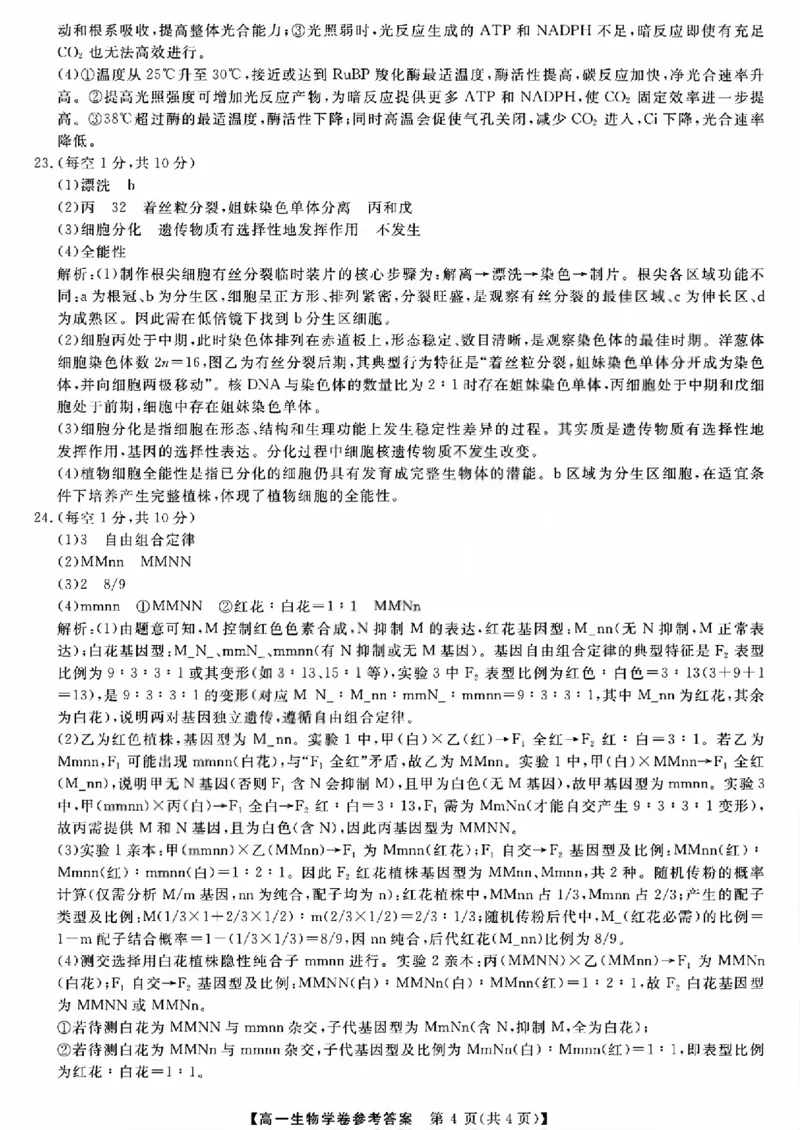 强基联盟高一生物答案_2026年03月高一试卷_260308浙江强基联盟2026年3月高一联考