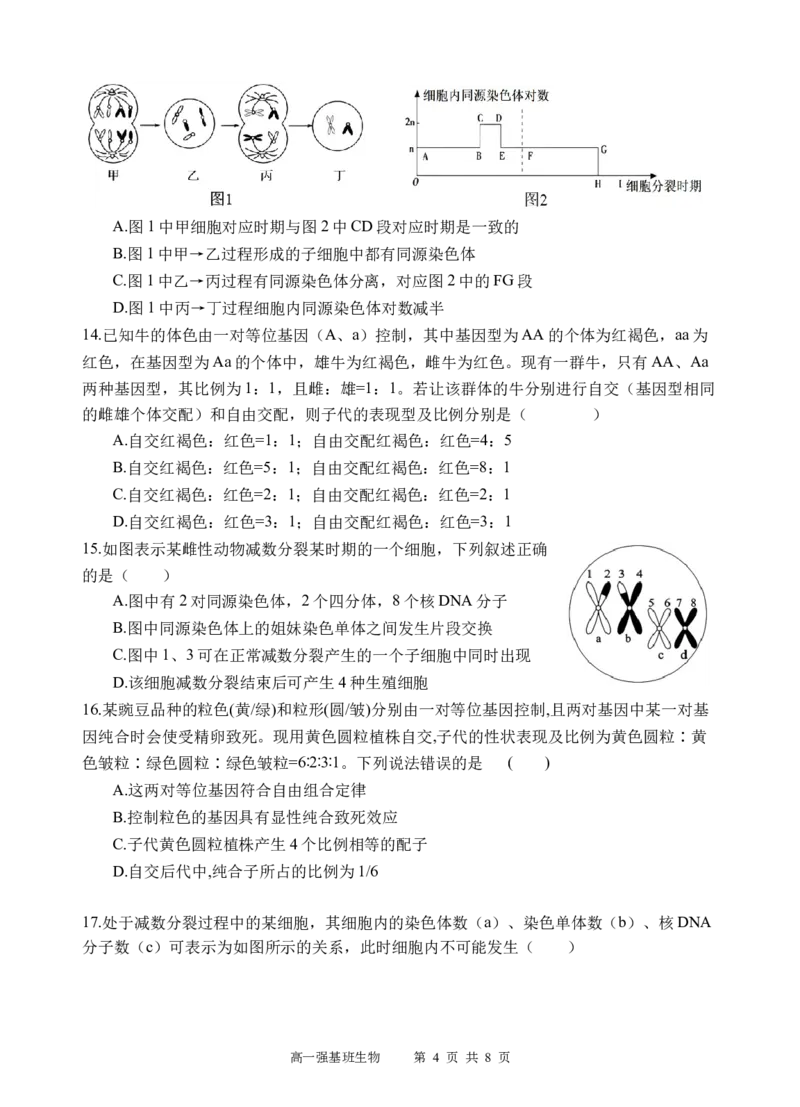 强基班生物试题_2025年04月试卷_0403四川省遂宁市射洪中学强基班2024-2025学年高一下学期3月月考试题