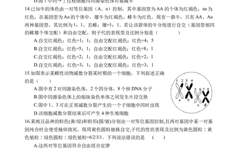 强基班生物试题_2025年04月试卷_0403四川省遂宁市射洪中学强基班2024-2025学年高一下学期3月月考试题