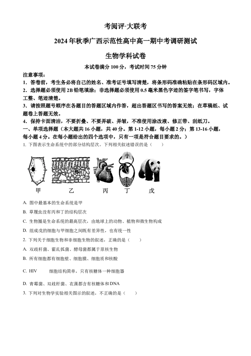 广西壮族自治区玉林市2024-2025学年高一上学期11月期中生物试题Word版无答案_2024年12月试卷_1214广西壮族自治区玉林市2024-2025学年高一上学期11月期中考试