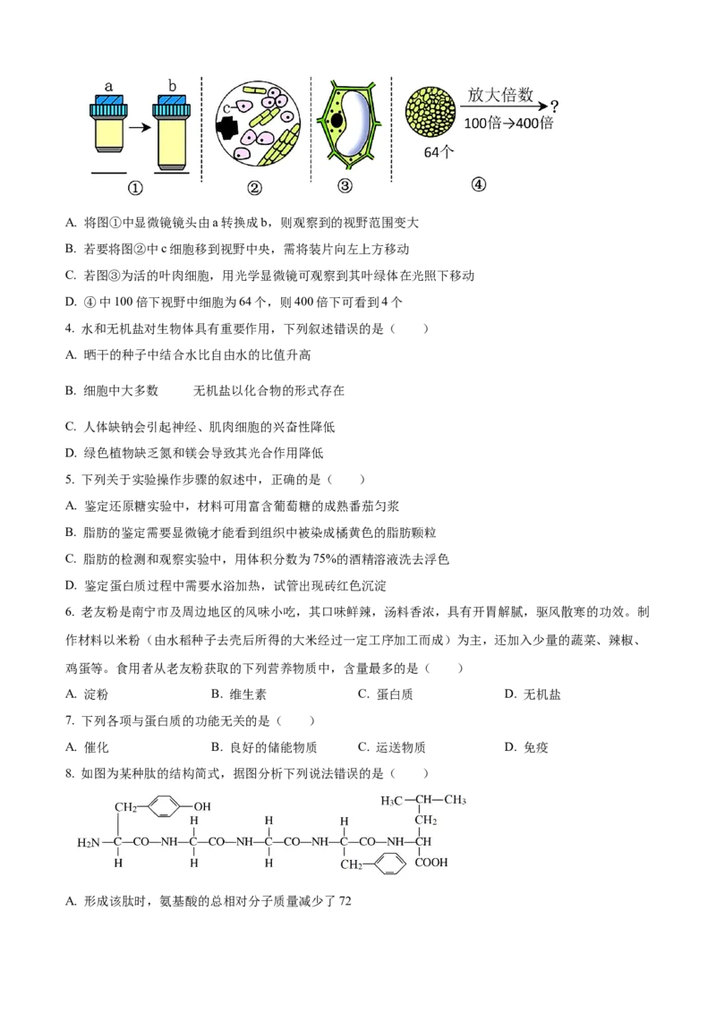 广西壮族自治区玉林市2024-2025学年高一上学期11月期中生物试题Word版无答案_2024年12月试卷_1214广西壮族自治区玉林市2024-2025学年高一上学期11月期中考试