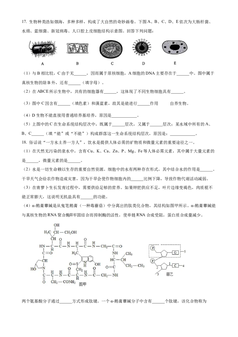 广西壮族自治区玉林市2024-2025学年高一上学期11月期中生物试题Word版无答案_2024年12月试卷_1214广西壮族自治区玉林市2024-2025学年高一上学期11月期中考试