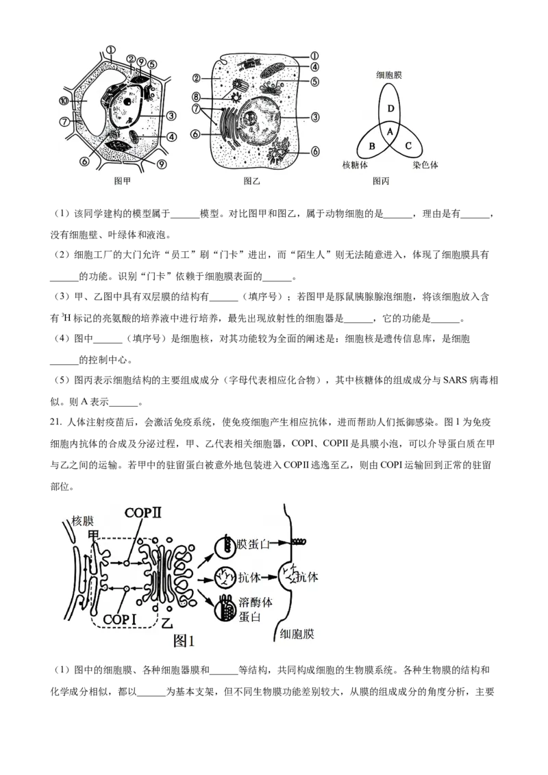 广西壮族自治区玉林市2024-2025学年高一上学期11月期中生物试题Word版无答案_2024年12月试卷_1214广西壮族自治区玉林市2024-2025学年高一上学期11月期中考试