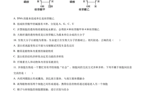广西壮族自治区玉林市2024-2025学年高一上学期11月期中生物试题Word版无答案_2024年12月试卷_1214广西壮族自治区玉林市2024-2025学年高一上学期11月期中考试