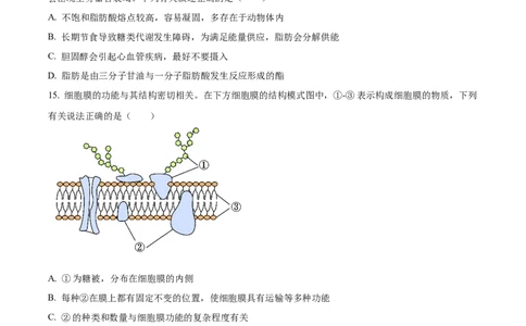 广西壮族自治区玉林市2024-2025学年高一上学期11月期中生物试题Word版无答案_2024年12月试卷_1214广西壮族自治区玉林市2024-2025学年高一上学期11月期中考试