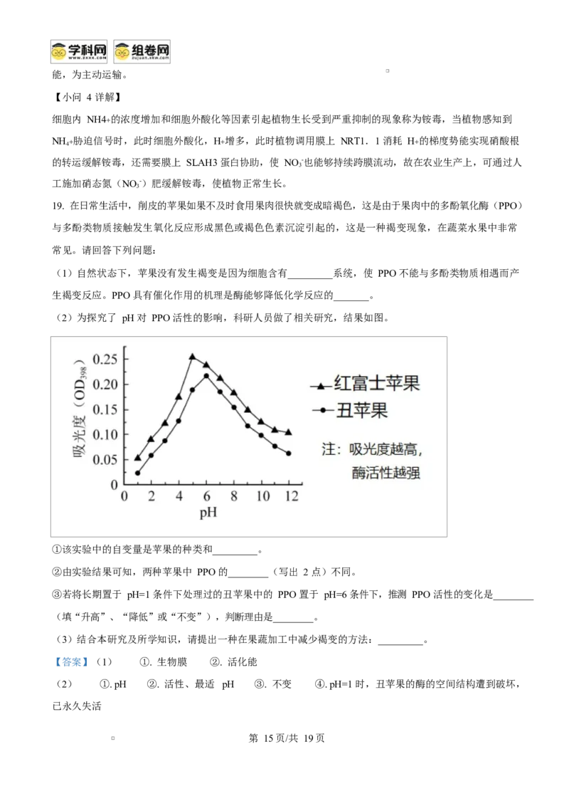 广西玉林市2024-2025学年高一上学期期末教学质量检测生物试卷Word版含解析_2025年03月试卷_0305广西玉林市2024-2025学年高一上学期1月期末考试