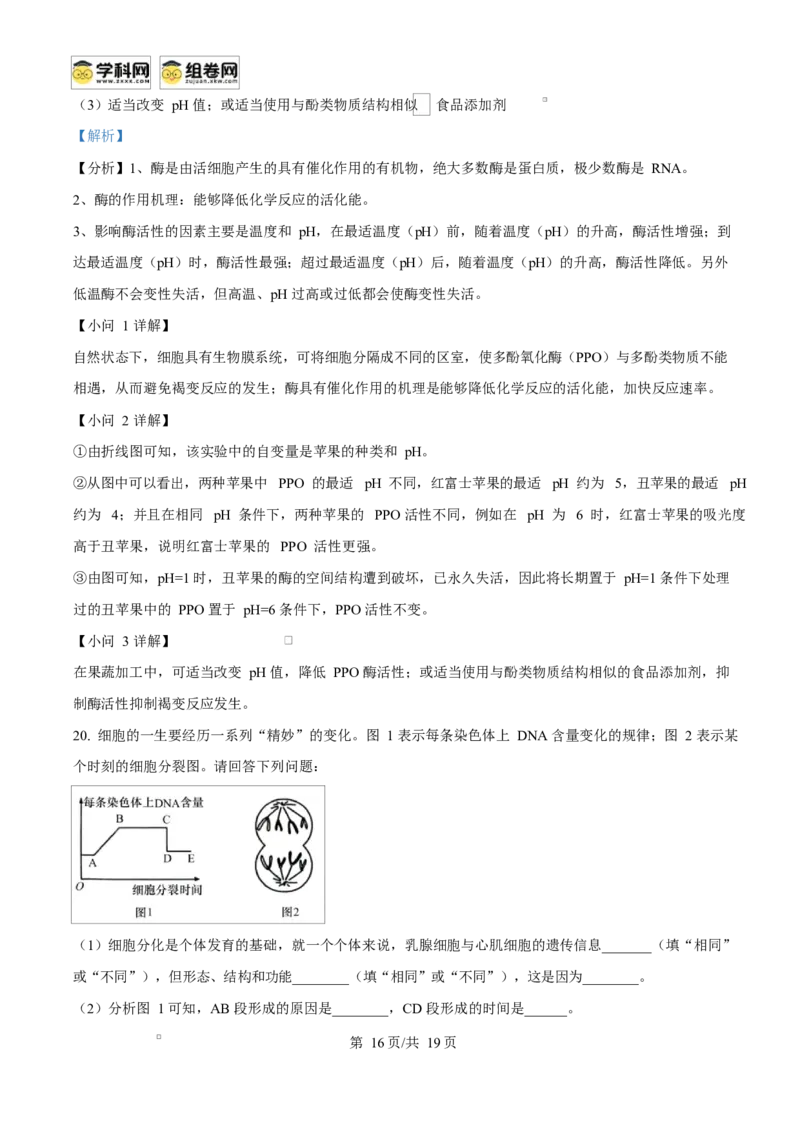 广西玉林市2024-2025学年高一上学期期末教学质量检测生物试卷Word版含解析_2025年03月试卷_0305广西玉林市2024-2025学年高一上学期1月期末考试