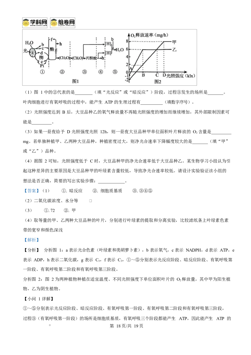 广西玉林市2024-2025学年高一上学期期末教学质量检测生物试卷Word版含解析_2025年03月试卷_0305广西玉林市2024-2025学年高一上学期1月期末考试