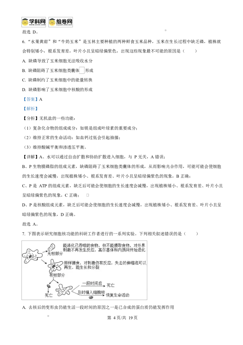 广西玉林市2024-2025学年高一上学期期末教学质量检测生物试卷Word版含解析_2025年03月试卷_0305广西玉林市2024-2025学年高一上学期1月期末考试