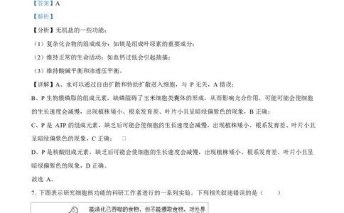 广西玉林市2024-2025学年高一上学期期末教学质量检测生物试卷Word版含解析_2025年03月试卷_0305广西玉林市2024-2025学年高一上学期1月期末考试