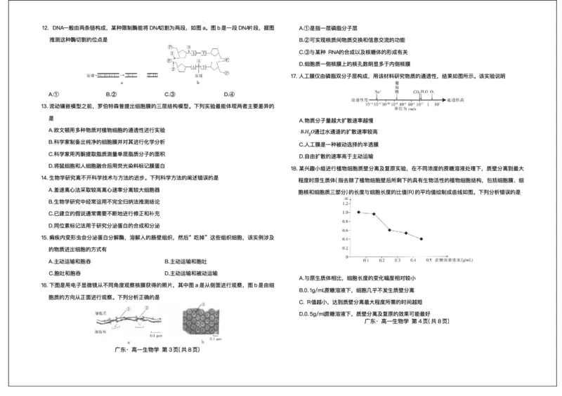 广东省领航高中联盟2025-2026学年高一上学期12月期中生物试题含答案_2025年12月高一试卷_251215广东省领航高中联盟2025-2026学年高一上学期12月检测