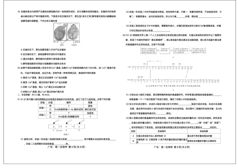 广东省领航高中联盟2025-2026学年高一上学期12月期中生物试题含答案_2025年12月高一试卷_251215广东省领航高中联盟2025-2026学年高一上学期12月检测