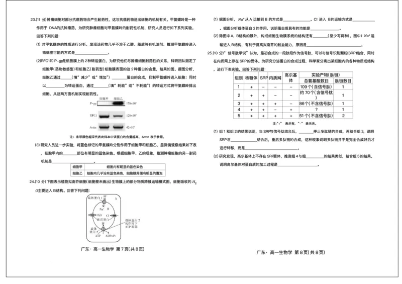 广东省领航高中联盟2025-2026学年高一上学期12月期中生物试题含答案_2025年12月高一试卷_251215广东省领航高中联盟2025-2026学年高一上学期12月检测
