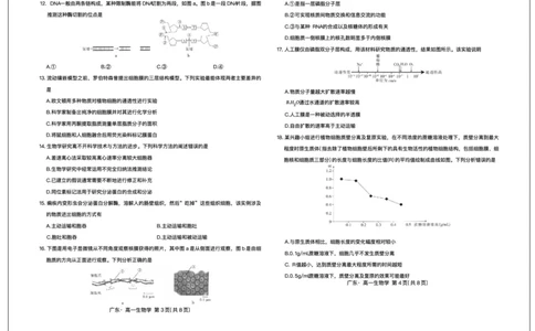 广东省领航高中联盟2025-2026学年高一上学期12月期中生物试题含答案_2025年12月高一试卷_251215广东省领航高中联盟2025-2026学年高一上学期12月检测