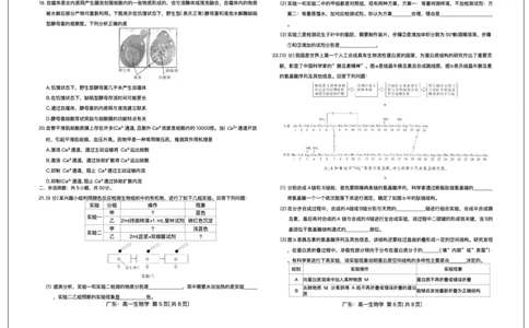 广东省领航高中联盟2025-2026学年高一上学期12月期中生物试题含答案_2025年12月高一试卷_251215广东省领航高中联盟2025-2026学年高一上学期12月检测
