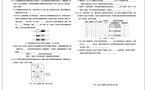 广东省领航高中联盟2025-2026学年高一上学期12月期中生物试题含答案_2025年12月高一试卷_251215广东省领航高中联盟2025-2026学年高一上学期12月检测