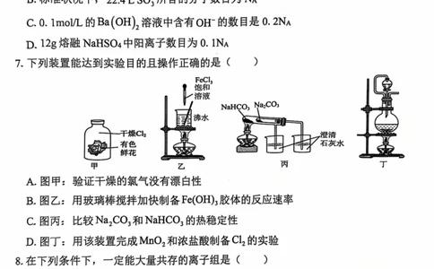 广西&ldquo;贵百河&mdash;武鸣高中&rdquo;2024-2025学年高一上学期12月新高考月考化学试题_2024年12月试卷_1220广西壮族自治区&ldquo;贵百河-武鸣高中&rdquo;2024-2025学年高一上学期12月月考试题