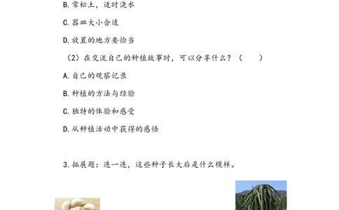 《试种一粒籽》学案(1)_26新二年级道法下册（统编版）_版本二_教学设计_教案2_二年级下册1.4《试种一粒籽》教案+学案+同步练习（1课时，3份打包）