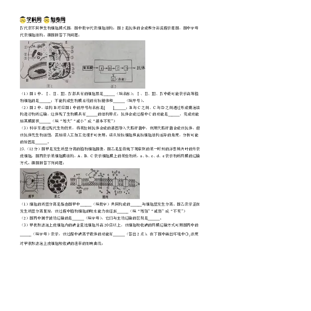 德阳市2025&mdash;2026学年高一上学期期末考试生物_2026年02月高一试卷_260207四川省德阳市2025&mdash;2026学年高一上学期期末考试