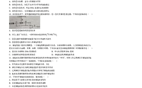 德阳市2025&mdash;2026学年高一上学期期末考试生物_2026年02月高一试卷_260207四川省德阳市2025&mdash;2026学年高一上学期期末考试