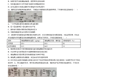 德阳市2025&mdash;2026学年高一上学期期末考试生物_2026年02月高一试卷_260207四川省德阳市2025&mdash;2026学年高一上学期期末考试