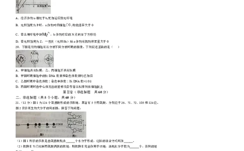 德阳市2025&mdash;2026学年高一上学期期末考试生物_2026年02月高一试卷_260207四川省德阳市2025&mdash;2026学年高一上学期期末考试
