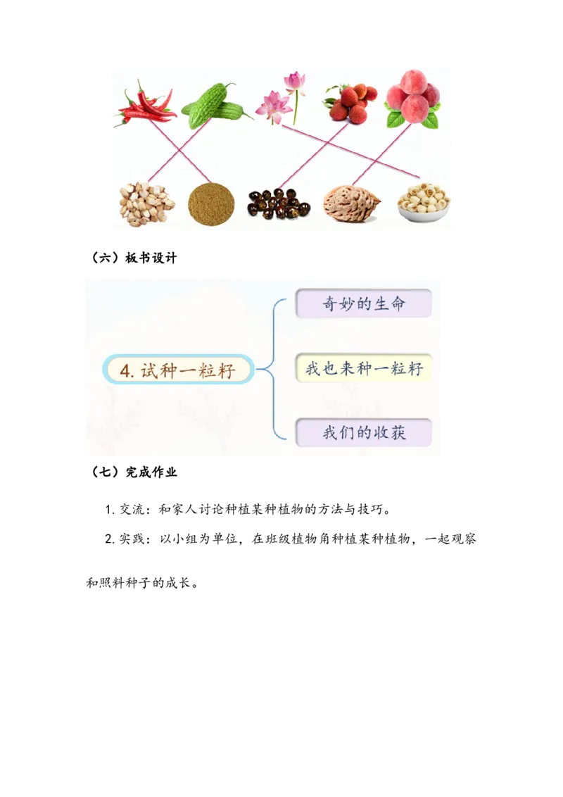 《试种一粒籽》教案(1)_26新二年级道法下册（统编版）_版本二_教学设计_教案2_二年级下册1.4《试种一粒籽》教案+学案+同步练习（1课时，3份打包）