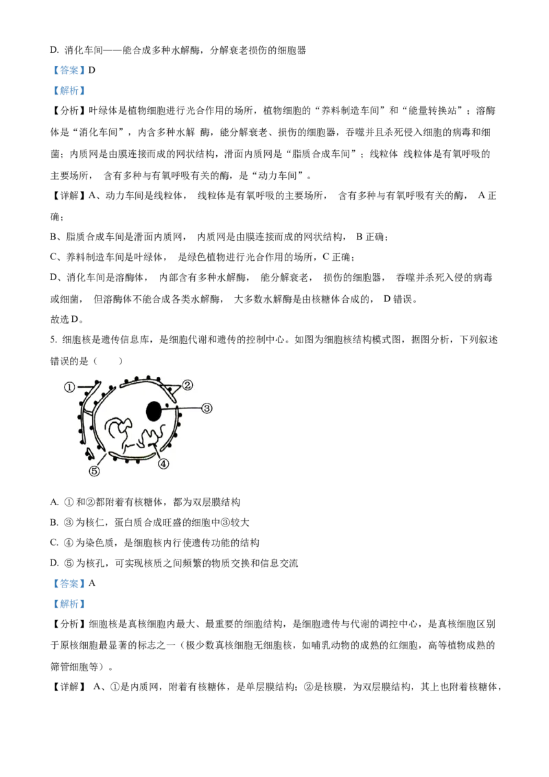 广西百色市2024-2025学年高一上学期1月期末生物试题Word版含解析_2025年03月试卷_0319广西壮族自治区百色市2024-2025学年高一上学期1月期末考试