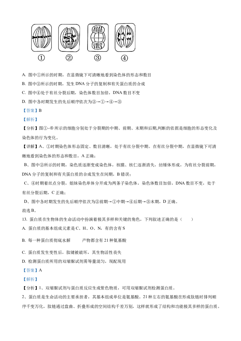 广西百色市2024-2025学年高一上学期1月期末生物试题Word版含解析_2025年03月试卷_0319广西壮族自治区百色市2024-2025学年高一上学期1月期末考试