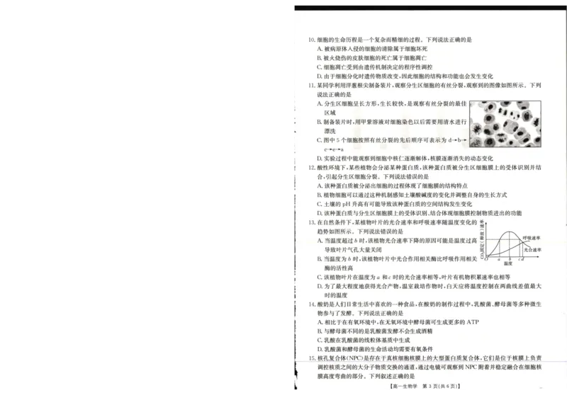 广西壮族自治区崇左市2024-2025学年高一上学期1月期末考试生物学试卷_2025年02月试卷_0206广西壮族自治区崇左市2024-2025学年高一上学期1月期末考试